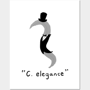 C. elegance Posters and Art